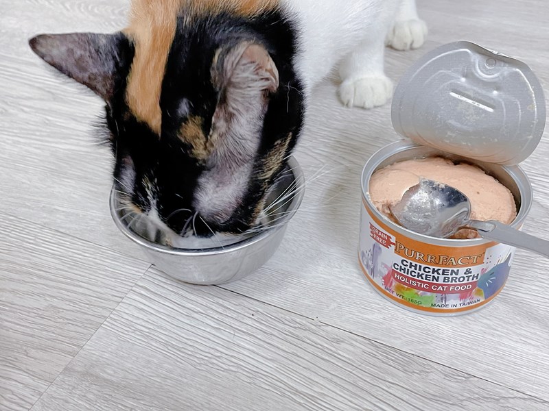 女人知己試用大隊,口碑行銷,部落客行銷,PURRFACT 波菲特貓用主食罐,主食罐,PURRFACT波菲特,貓主食罐,貓罐,PURRFACT波菲特貓用主食罐,魚肉蔓越莓主食罐,鮮嫩雞主食罐,鹿肉雞肉主食罐,牛肉鵪鶉貓主食罐,干貝蠶蛹配方,鱷魚肉白木耳配方,雞肉魚肉配方,安心鶉配方,評價,體驗,適口性佳,心得,成貓適用,高齡貓適用,質地是慕絲狀